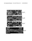 METHOD FOR CONTROLLING ALUMINUM TITANATE CERAMIC FILTER PROPERTIES diagram and image