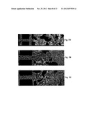 METHOD FOR CONTROLLING ALUMINUM TITANATE CERAMIC FILTER PROPERTIES diagram and image