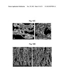 METHOD FOR CONTROLLING ALUMINUM TITANATE CERAMIC FILTER PROPERTIES diagram and image