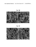 METHOD FOR CONTROLLING ALUMINUM TITANATE CERAMIC FILTER PROPERTIES diagram and image