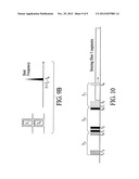 Pulse Labeling for High-Bandwidth Fiber-Optic Distributed Acoustic Sensing     with Reduced Cross-Talk diagram and image