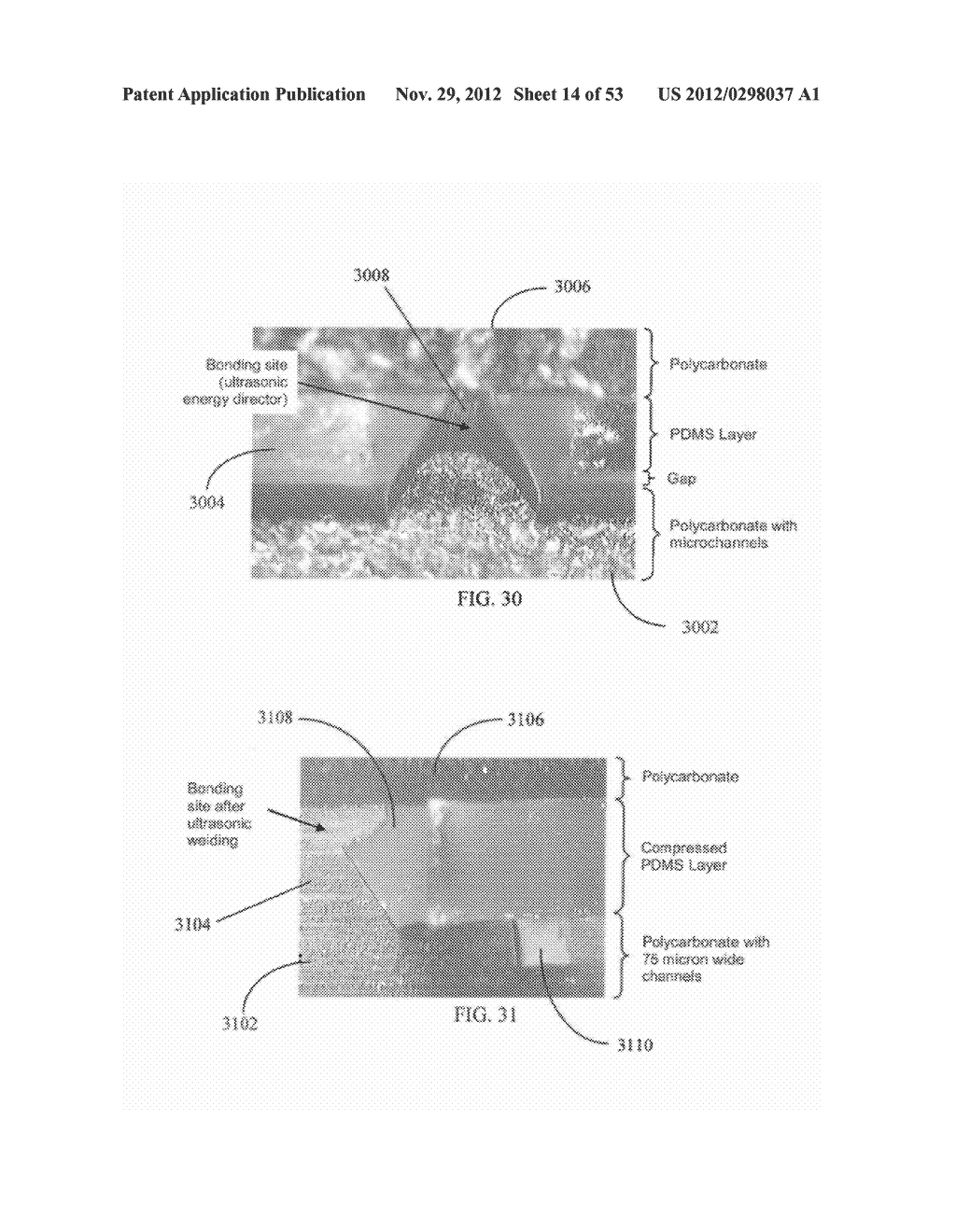 MICROCHEMICAL NANOFACTORIES - diagram, schematic, and image 15