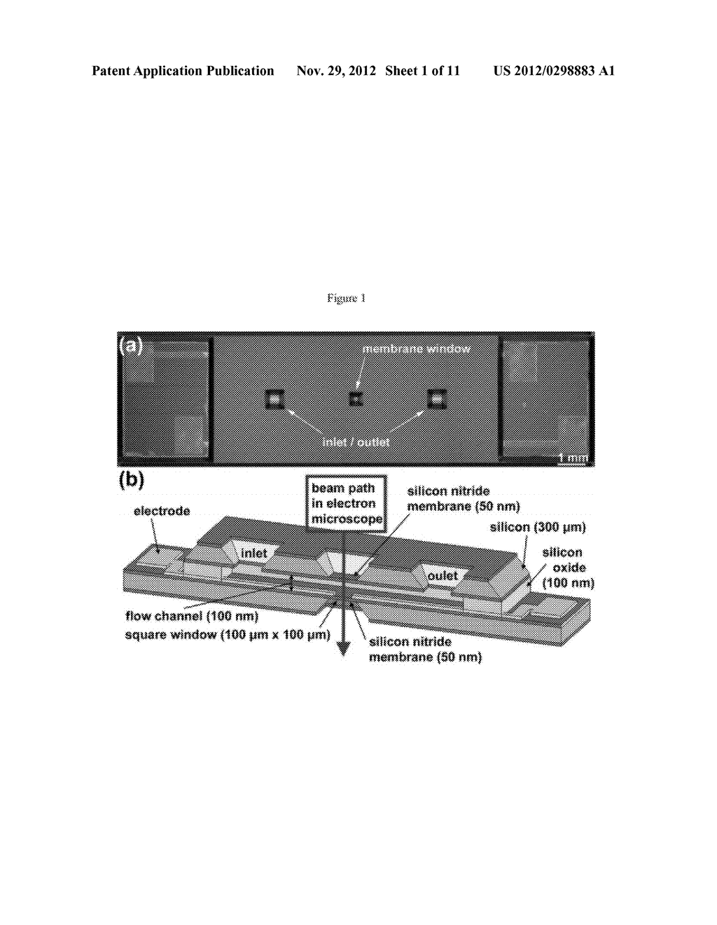 Flow Cells for Electron Microscope Imaging With Multiple Flow Streams - diagram, schematic, and image 02