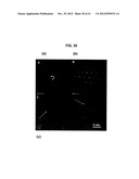 LIGHT EMITTING TETRAPHENYLENE DERIVATIVES, ITS METHOD FOR PREPARATION AND     LIGHT EMITTING DEVICE USING THE SAME DERIVATIVES diagram and image