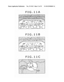 IMAGING APPARATUS AND IMAGING METHOD diagram and image