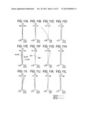 Zoom Lens and Image Pickup Apparatus Using the Same diagram and image