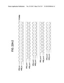 LIQUID CRYSTAL DISPLAY diagram and image