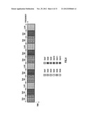 METHOD FOR SETTING SUBBANDS IN MULTICARRIER COMMUNICATION, AND RADIO     COMMUNICATION MOBILE STATION APPARATUS diagram and image