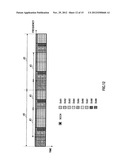 METHOD FOR SETTING SUBBANDS IN MULTICARRIER COMMUNICATION, AND RADIO     COMMUNICATION MOBILE STATION APPARATUS diagram and image