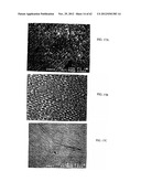 COMPOSITION OF MATTER TAILORING:  SYSTEM I diagram and image