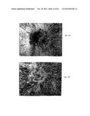 COMPOSITION OF MATTER TAILORING:  SYSTEM I diagram and image