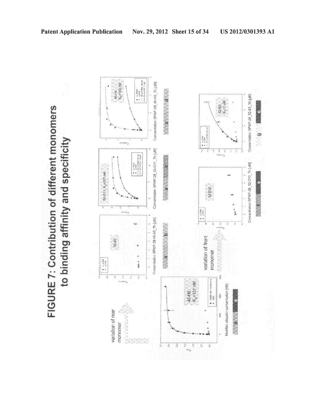 MODIFIED UBIQUITIN PROTEINS HAVING A SPECIFIC BINDING ACTIVITY FOR THE     EXTRADOMAIN B OF FIBRONECTIN - diagram, schematic, and image 16