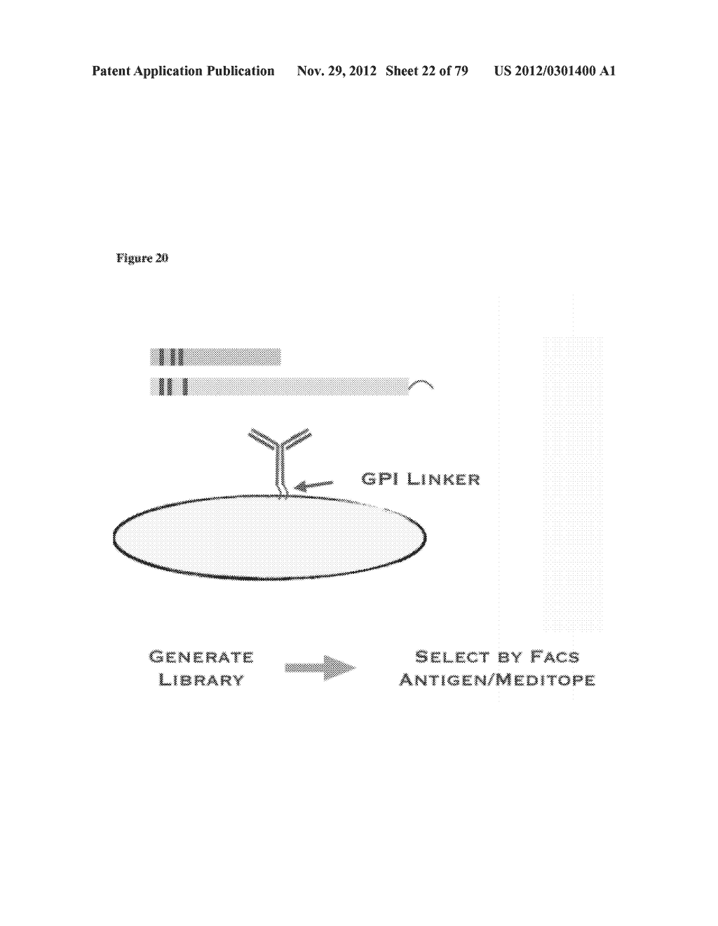 MEDITOPES AND MEDITOPE-BINDING ANTIBODIES AND USES THEREOF - diagram, schematic, and image 23