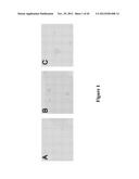 ORAL CARE METHODS AND COMPOSITIONS UTILIZING CHITOSAN-DERIVATIVE COMPOUNDS diagram and image