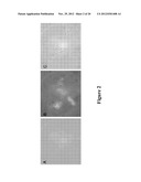 ORAL CARE METHODS AND COMPOSITIONS UTILIZING CHITOSAN-DERIVATIVE COMPOUNDS diagram and image