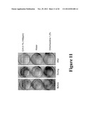 ORAL CARE METHODS AND COMPOSITIONS UTILIZING CHITOSAN-DERIVATIVE COMPOUNDS diagram and image