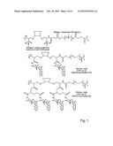 CYCLODEXTRIN-BASED POLYMERS FOR THERAPEUTICS DELIVERY diagram and image