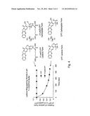 CYCLODEXTRIN-BASED POLYMERS FOR THERAPEUTICS DELIVERY diagram and image