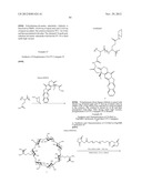 CYCLODEXTRIN-BASED POLYMERS FOR THERAPEUTICS DELIVERY diagram and image