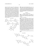 CYCLODEXTRIN-BASED POLYMERS FOR THERAPEUTICS DELIVERY diagram and image