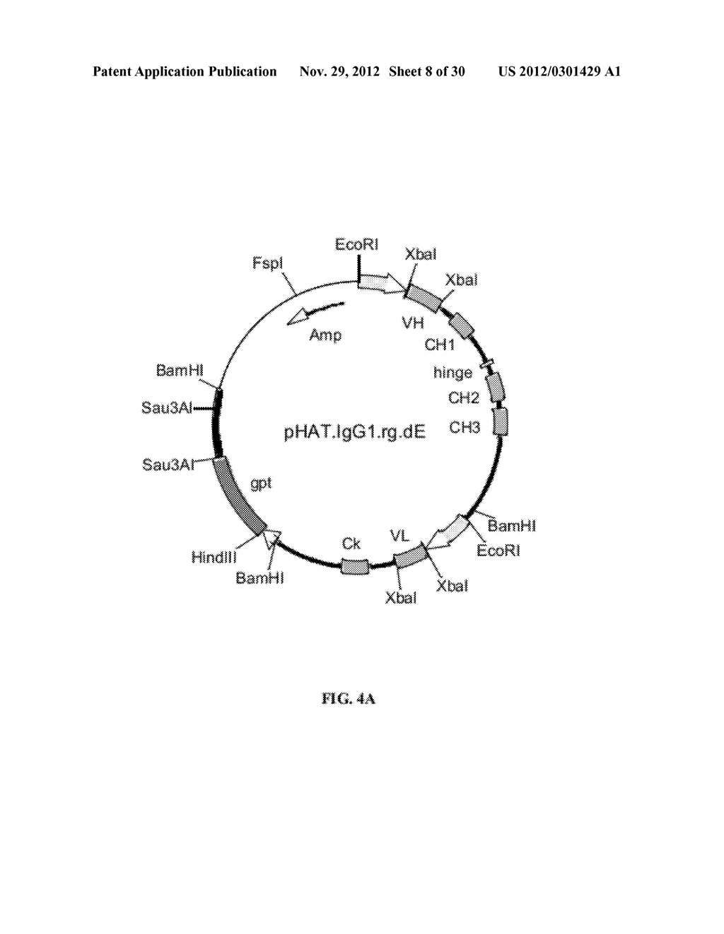 DAC HYP COMPOSITIONS AND METHODS - diagram, schematic, and image 09