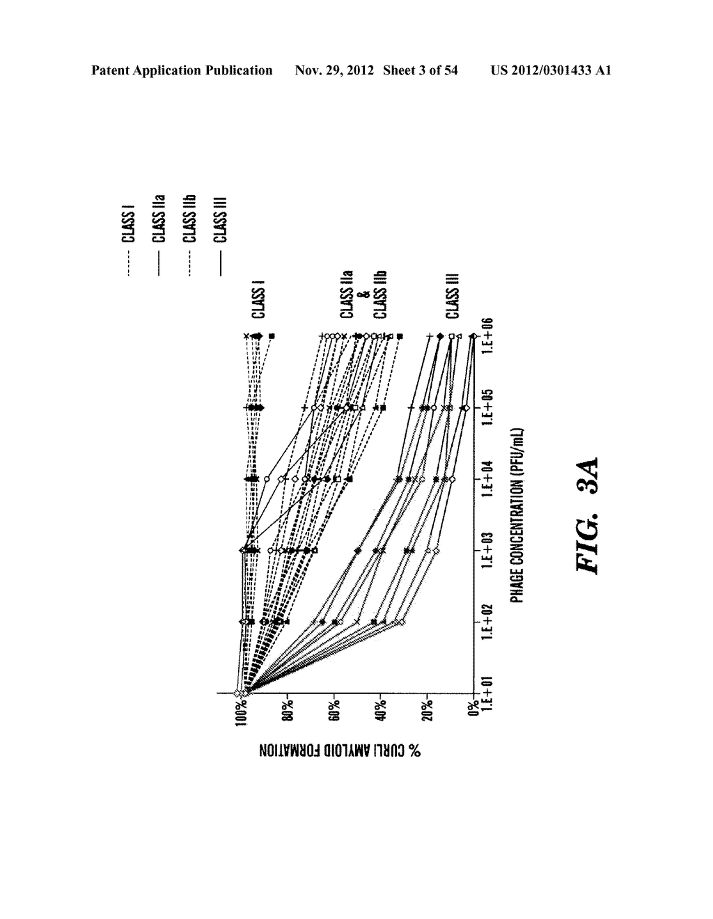 BACTERIOPHAGES EXPRESSING AMYLOID PEPTIDES AND USES THEREOF - diagram, schematic, and image 04