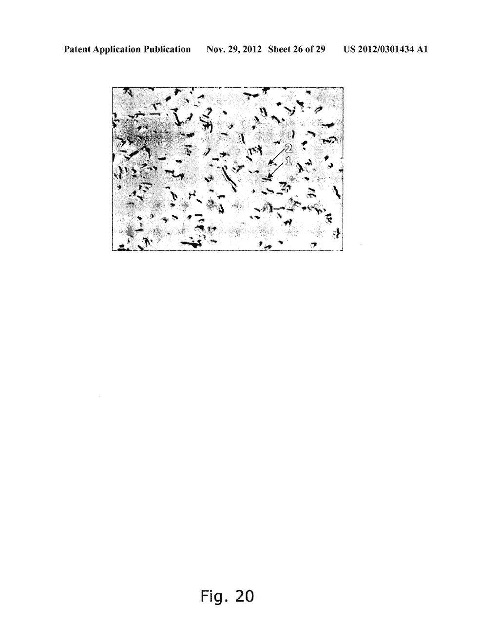 ANTIBACTERIAL POLYPEPTIDES AND USE THEREOF - diagram, schematic, and image 27