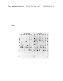 PROBIOTIC BIFIDOBACTERIAL COMPOSITION IN ACCORDANCE WITH SECRETOR BLOOD     GROUP STATUS diagram and image