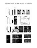 Technologies, Methods, and Products of Small Molecule Directed Tissue and     Organ Regeneration from Human Pluripotent Stem Cells diagram and image