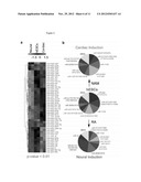 Technologies, Methods, and Products of Small Molecule Directed Tissue and     Organ Regeneration from Human Pluripotent Stem Cells diagram and image