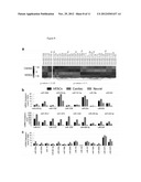 Technologies, Methods, and Products of Small Molecule Directed Tissue and     Organ Regeneration from Human Pluripotent Stem Cells diagram and image