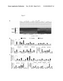 Technologies, Methods, and Products of Small Molecule Directed Tissue and     Organ Regeneration from Human Pluripotent Stem Cells diagram and image