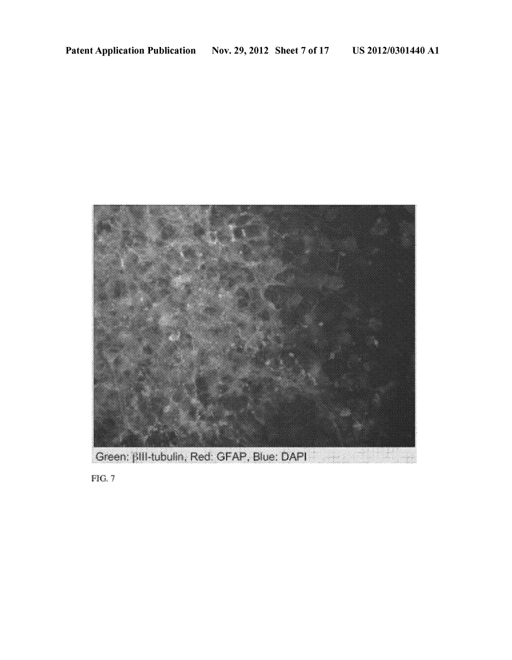 METHODS AND MATERIALS FOR INCREASING POTENCY OF CELLS - diagram, schematic, and image 08