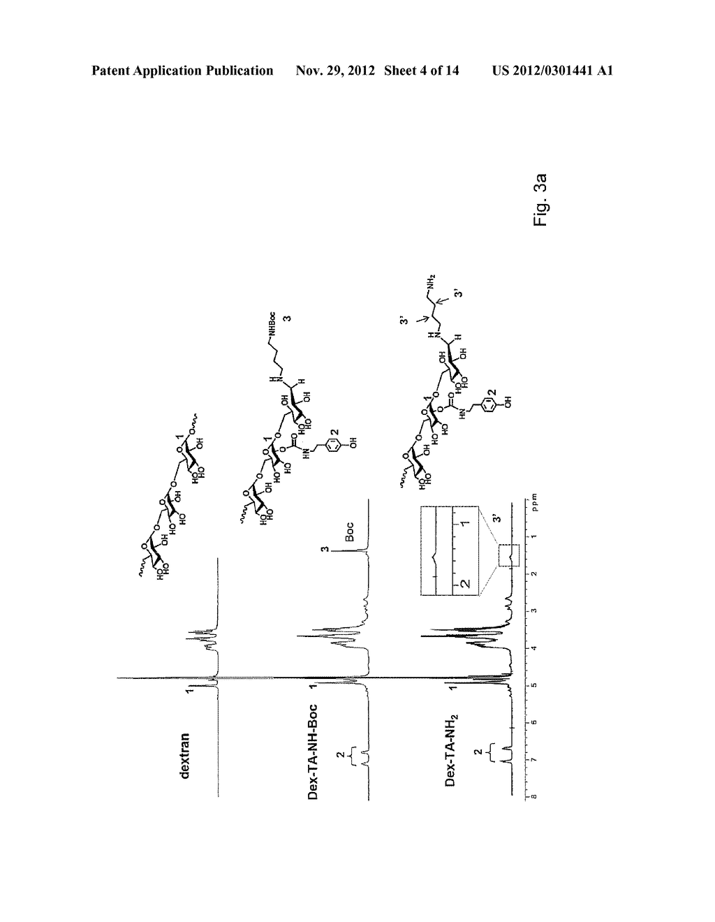 DEXTRAN-HYALURONIC ACID BASED HYDROGELS - diagram, schematic, and image 05