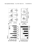 TOOLS FOR ISOLATING AND FOLLOWING CARDIOVASCULAR PROGENITOR CELLS diagram and image