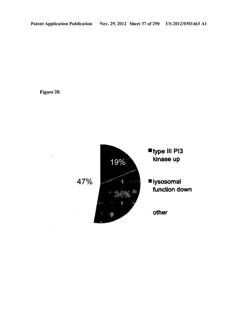 Methods for Modulation of Autophagy Through the Modulation of     Autophagy-Enhancing Gene Products - diagram, schematic, and image 38