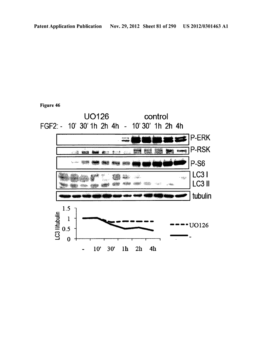 Methods for Modulation of Autophagy Through the Modulation of     Autophagy-Enhancing Gene Products - diagram, schematic, and image 82