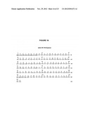 REAGENTS AND TREATMENT METHODS FOR AUTOIMMUNE DISEASES diagram and image