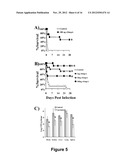 COMPOSITIONS AND METHODS FOR IMMUNIZATION AGAINST DRUG RESISTANT     ACINETOBACTER BAUMANNII diagram and image