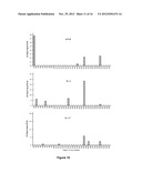 COMPOSITIONS AND METHODS FOR IMMUNIZATION AGAINST DRUG RESISTANT     ACINETOBACTER BAUMANNII diagram and image