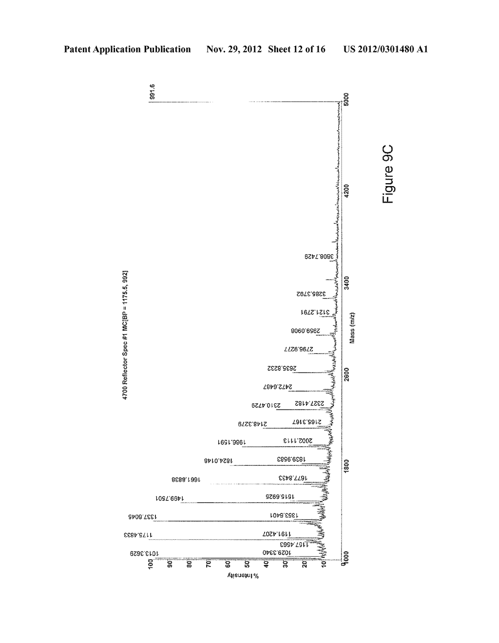 H. PYLORI LIPOPOLYSACCHARIDE OUTER CORE EPITOPE - diagram, schematic, and image 13