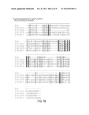 REGULATORY T CELL MEDIATOR PROTEINS AND USES THEREOF diagram and image