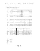 REGULATORY T CELL MEDIATOR PROTEINS AND USES THEREOF diagram and image