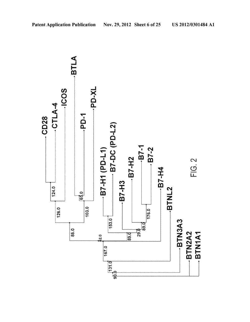 REGULATORY T CELL MEDIATOR PROTEINS AND USES THEREOF - diagram, schematic, and image 07