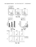 REGULATORY T CELL MEDIATOR PROTEINS AND USES THEREOF diagram and image