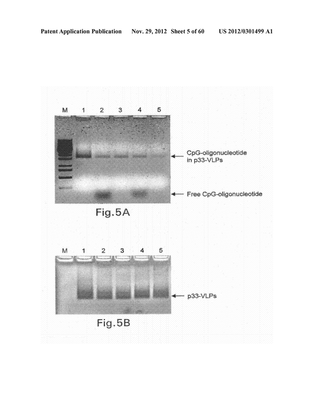 Packaging of Immunostimulatory Substances into Virus-Like Particles:     Method of Preparation and Use - diagram, schematic, and image 06