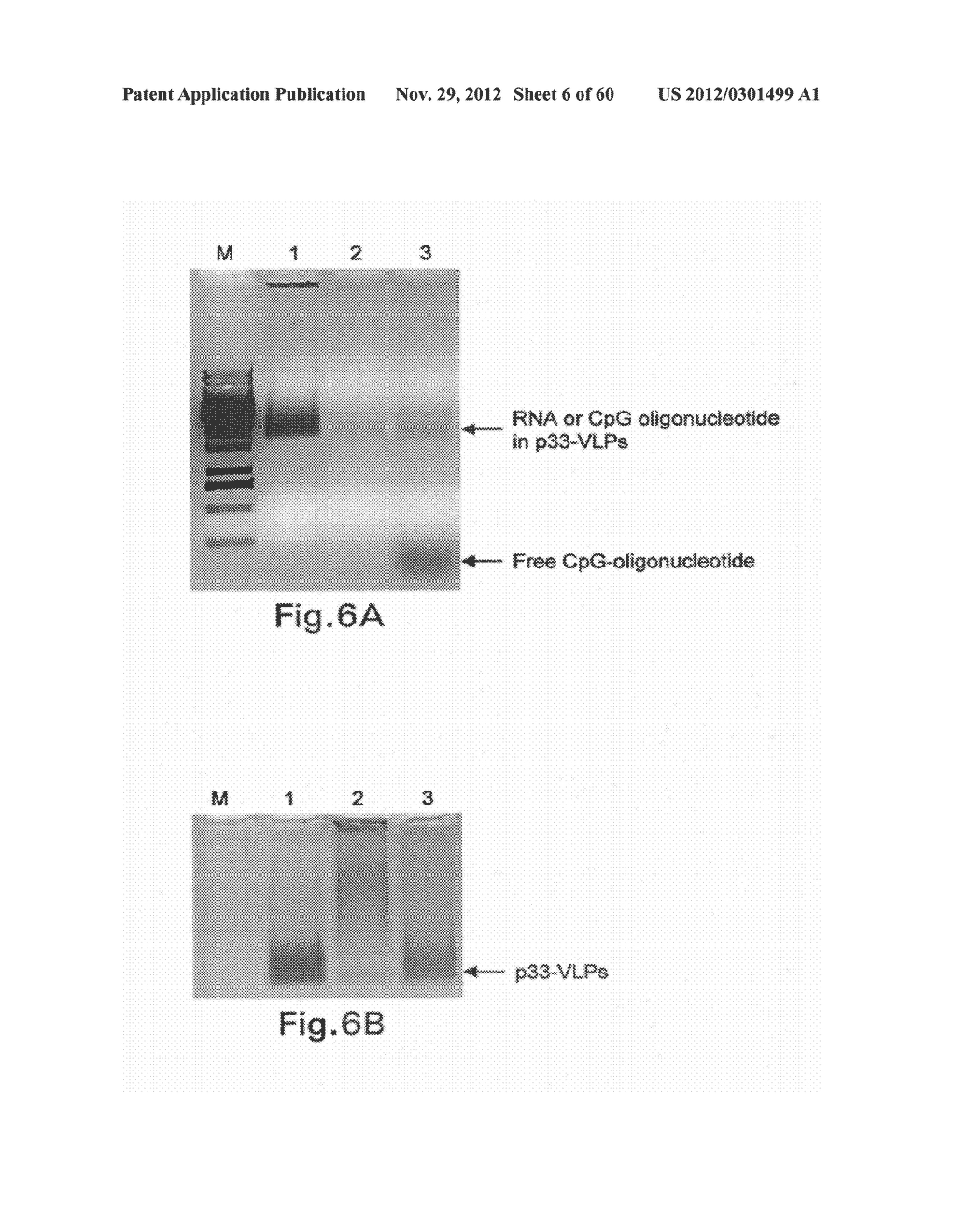 Packaging of Immunostimulatory Substances into Virus-Like Particles:     Method of Preparation and Use - diagram, schematic, and image 07