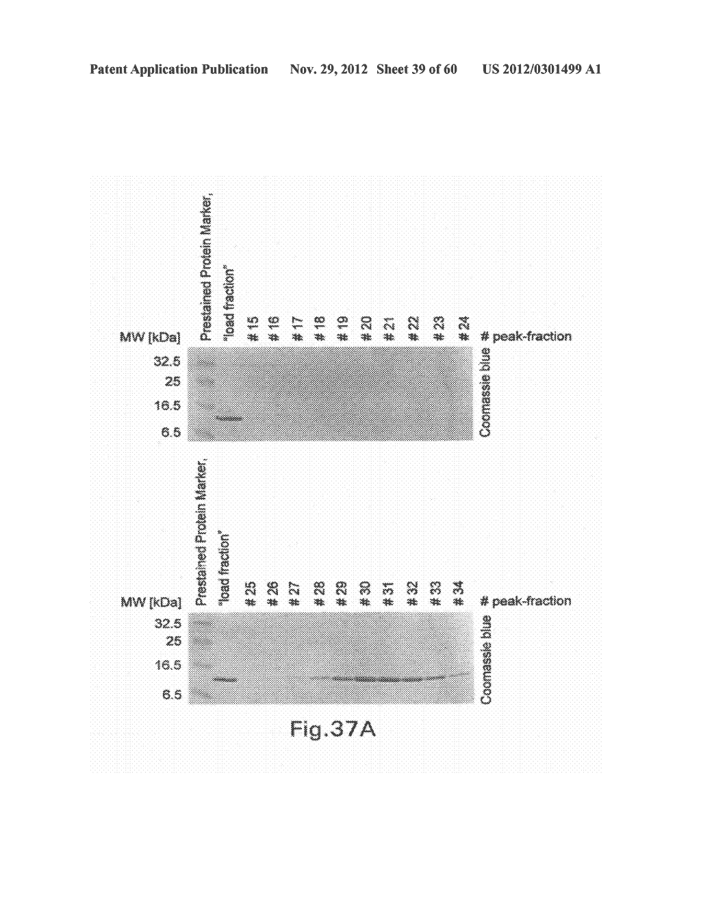 Packaging of Immunostimulatory Substances into Virus-Like Particles:     Method of Preparation and Use - diagram, schematic, and image 40