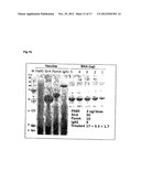 METHOD FOR SELECTING AND PRODUCING VACCINE COMPONENTS AND VACCINES BASED     THEREON diagram and image