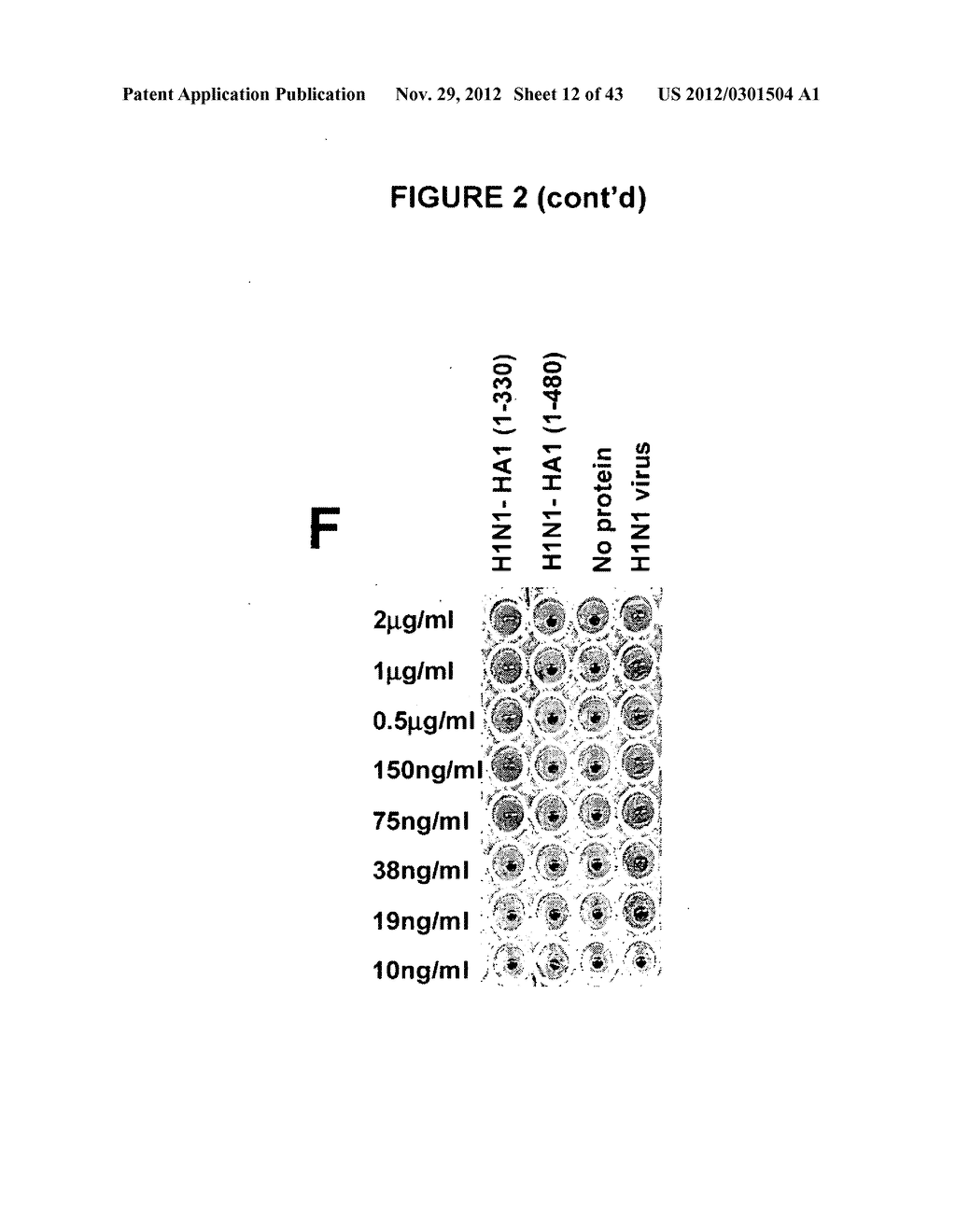 Influenza Virus Recombinant Proteins - diagram, schematic, and image 13